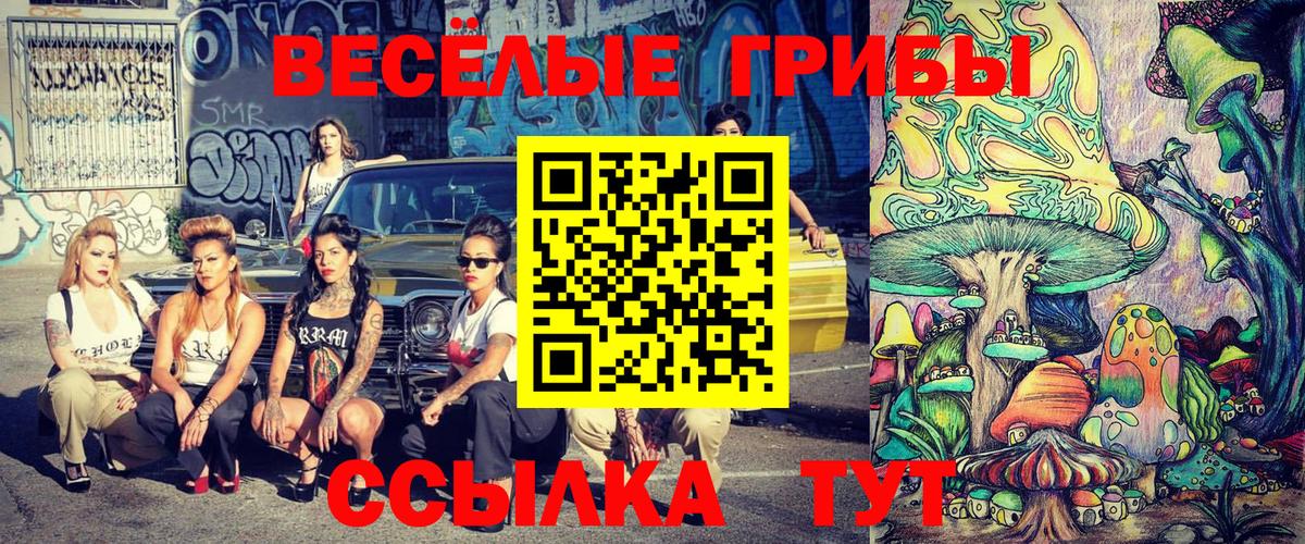 Псилоцибиновые грибы мицелий Раменское